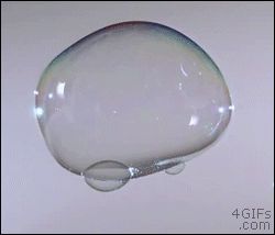 BB being shot through a bubble. Soothing Images, Oddly Satisfying Videos, Moving Image, Oddly Satisfying, Satisfying Video, Blow Your Mind, Tumbling, Mind Blown, Animated Gif