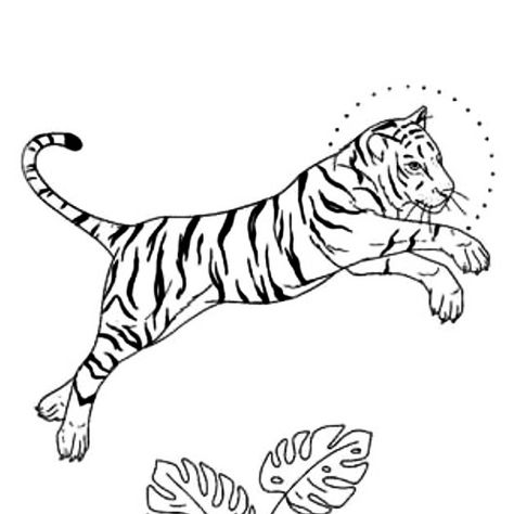 Tiger Line Tattoo, Tiger Outline, Senior Pants, Traditional Tiger Tattoo, Tattoo Lion, Goddess Tattoo, Applied Art, Body Sketches, Tiger Tattoo