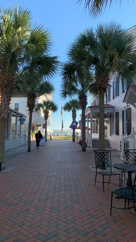 beaufort, south carolina, beach, summer, summer aesthetic South Carolina Aesthetic, Carolina Aesthetic, South Carolina Beach, Beaufort South Carolina, Hilton Head South Carolina, College Of Charleston, Beaufort Sc, South Carolina Beaches, Carolina Beach