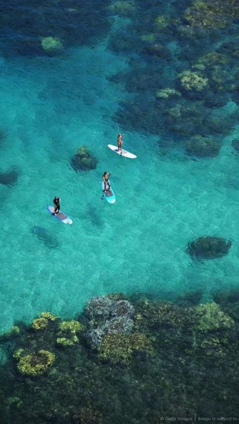 European Islands, Summer In Hawaii, Hawaii Water, Landscape Tropical, South Europe, Summer Beach Vibes, Tropical Places, Paddle Board Surfing, Palm Tree Island