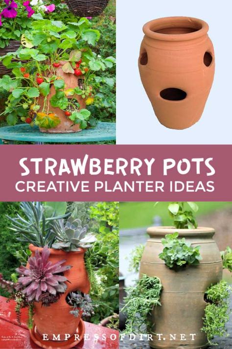 There are lots of creative ways to use strawberry pots for growing flowers, herbs, and vines. Strawberry Pot Planting Ideas, What To Plant In Strawberry Pots, Strawberry Jar Planter Ideas, Strawberry Pot, Raised Container Garden, Herb Garden Pots, Strawberry Pots, Creative Planter, Strawberry Planters