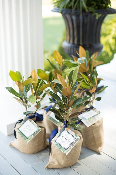 Southern Outdoor Wedding, Tree Wedding Favors, Tree Favors, Plant Wedding Favors, Food Wedding Favors, Mississippi Wedding, Magnolia Wedding, Favors Ideas, Tree Day