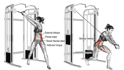 The cable wood chop is also known as the cable up-down twist, you must add these oblique workouts to your love handles exercises arsenal. Wood Chop Exercise, Cable Machine Workout, Great Ab Workouts, Wood Chop, Cable Workout, Oblique Workout, Ab Workout Men, Abs Workout Video, Smith Machine