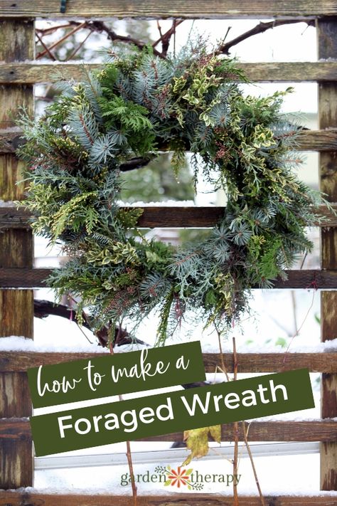 Experience Nature: Make a Fresh Foraged Wreath Wreaths made from fresh foraged materials are a wonderful way to make an entrance look welcoming or to jazz up a drab fence or garden shed, bring the beauty and fragrance of the outdoors in, and are an enjoyable and meditative project to make.#gardentherapy #wreaths #wreathmaking Foraged Wreath, Nature Wreath, Natural Christmas Wreaths, Fresh Christmas Wreath, Fresh Wreath, Holiday Wreaths Christmas, Holiday Wreaths Diy, Christmas Wreaths Diy Easy, Natural Wreath