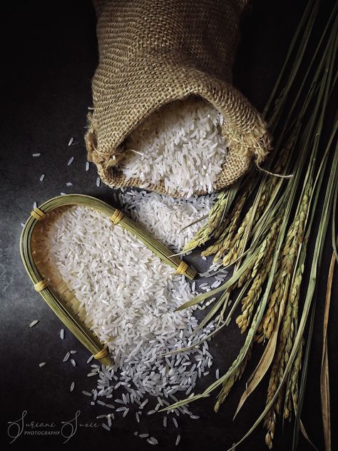 Thai Food Photography, Badminton Logo, Photography Tea, Feeding America, Product Photographer, Rice Grain, Sticky Rice, Food Photography Styling, Background For Photography