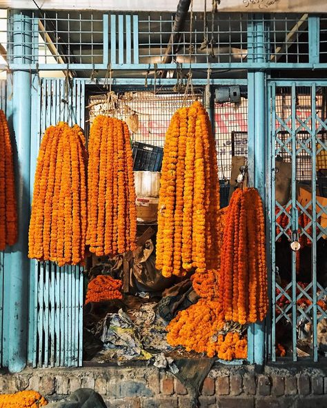 Bengali Culture, The Flower Market, Dream Beach Wedding, Marigold Flower, North India, Farm Stand, Fashion Photography Inspiration, Before Sunrise, Holiday Red