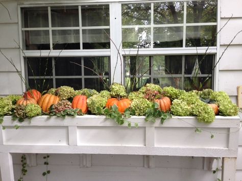 Fall Window Decorations that Add Curb Appeal Pumpkin Window Boxes, Fall Flower Boxes, Fall Window Decorations, Window Box Ideas, Fall Window Boxes, Fall Windows, Fall Containers, Window Box Flowers, Cheap Fall