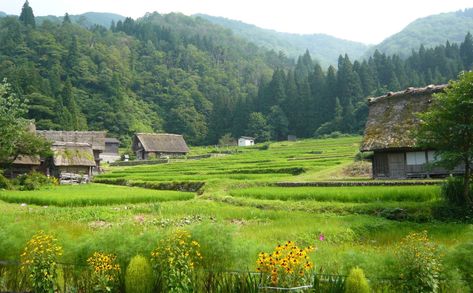 田舎 | Countryside of Japan. Taken 2 years ago | hmxxyy | Flickr Countryside House Aesthetic, Japan Countryside Aesthetic, Japan Village, Japan Countryside, Rural Japan, Countryside Aesthetic, Japanese Countryside, Japanese Village, Countryside Landscape