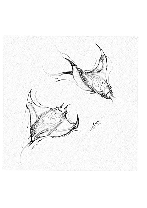 Birds Tatoos Flying, Sting Rays Tattoo, Manta Ray Design, Sting Ray Tattoo Design, Sting Ray Drawings, Spotted Eagle Ray Tattoo, Sting Ray Art, Sting Ray Tattoo, Manta Ray Drawing