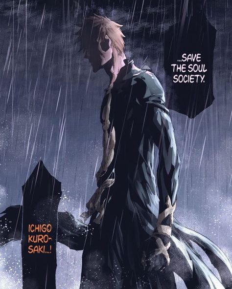 Ichigo Manga, Soul Reaper, Bleach Funny, Soul Society, Ichigo And Rukia, Rukia Kuchiki, Bleach Anime Ichigo, The Grim Reaper, Bleach Anime Art