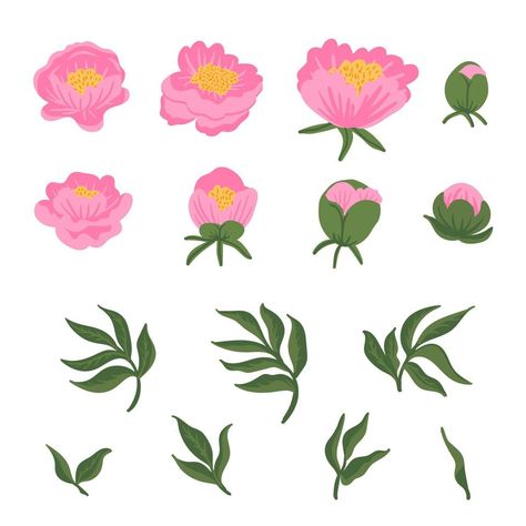 Collection of leaves, buds, flowers pink peonies. Set of floral elements isolated on white. Hand drawn vector botanical illustration for wedding invitation, patterns, wallpapers, fabric, wrapping Garland Leaves, Peony Illustration, Fabric Wrapping, Leaves Vector, Floral Elements, Floral Garland, Hand Drawn Vector, Flowers Pink, White Hand