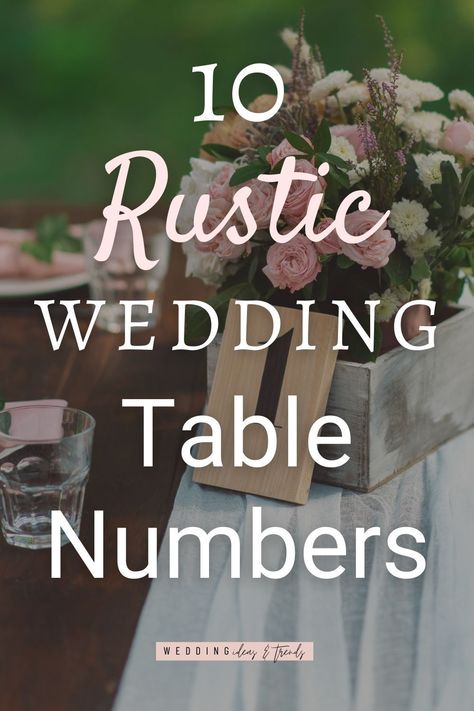 Unique Wedding Seating Ideas, Numbers On Tables For Wedding, Unique Wedding Seating Chart Ideas Table Numbers, Rustic Wedding Table Assignment Ideas, Diy Wedding Table Signs, Seating Chart Wedding Ideas Rustic, Rustic Seating Chart Ideas, Wedding Table Number Ideas Unique, Rustic Wedding Seating Chart Ideas