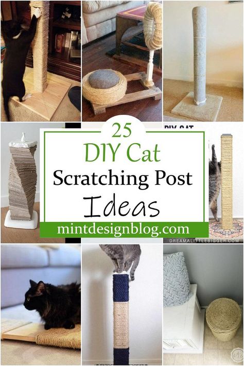 Cat Scratching Post Ideas, Dog Harness Tutorial, Diy Dog Wheelchair, Diy Cat Shelves, Diy Cat Scratching Post, Diy Cat Scratcher, Diy Cat Hammock, Cat Scratcher Post, Cardboard Cat Scratcher