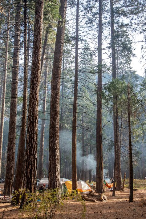 Yosemite National Park Camping, Camping Inspo, Tuolumne Meadows, Yosemite Camping, Merced River, Best Campgrounds, Temperate Rainforest, Nature Camping, Camping Guide