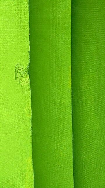 . Duke Aesthetic, Colour Aesthetic, Green Carnation, Green Inspiration, Mean Green, Simple Green, Green Life, World Of Color, Color Of The Year