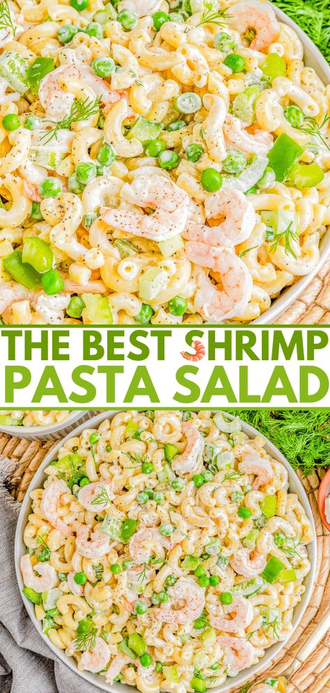 Shrimp Pasta Salad - 🍤🫛🌿 Tender pasta, juicy shrimp, crunchy celery, bell peppers, and peas are tossed in a creamy and tangy homemade dressing for zesty perfection! Great for summer gatherings to serve as a side salad or make it for a lighter yet satisfying stand alone meal for lunch or dinner! Very EASY and always a crowd FAVORITE! Pasta Salad With Shrimp, Homemade Pasta Salad, Easy Shrimp Pasta, Shrimp Pasta Salad, Fish Pasta, Pasta Salad Ingredients, Pasta Salad Dressing, Juicy Shrimp, Pasta Salads