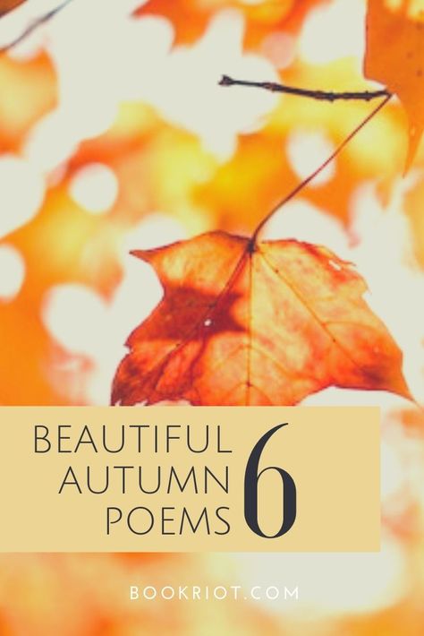 'Tis the season for beautiful autumn poetry.   poetry | poems about fall | autumn poems | poems to read Fall Poems Beautiful, Poems About Fall, Harvest Poems, October Poem, Poetry Teatime, Pumpkin Poem, Gwendolyn Brooks, Autumn Poetry, Summer Poems