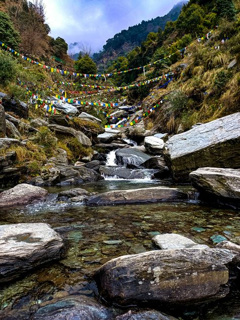 In the snowy valley of dharamsala you can attain real enlightenment Snowy Valley, Dharamsala, Places Ive Been, Vision Board, Water, Travel, Nature