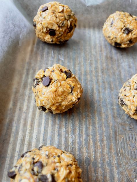 Alyssa’s Healthy Oatmeal Bites Recipe, Healthy Oatmeal Bites Recipe, Oats Snack, Farm Meals, Applesauce Oatmeal, No Bake Healthy, Oat Bites, Field Meals, Oatmeal Energy Bites