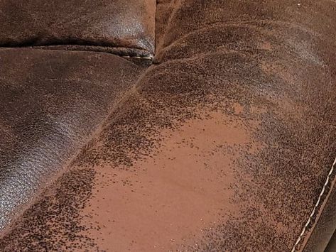 Check out the different types of real & faux leather fabric such as bonded, top grain, and full aniline leather. Know your leather before dyeing or finishing. Raw Leather, Leather Dye, Leather Couch, Faux Leather Fabric, Color Analysis, Animal Skin, Leather Diy, Vinyl Colors, Top Grain Leather