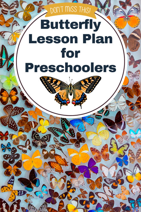 Explore our preschool butterfly lesson plan! It's filled with engaging activities that introduce children to the wonders of butterflies, their lifecycle, and their role in the ecosystem. From butterfly artwork to lifecycle role plays, our lesson plan fosters curiosity and understanding. Extend the learning with activities like Butterfly Hunt and more. Perfect for parents and educators looking to instill a love for nature in young minds. Experience the joy of learning about butterflies! Butterfly For Preschoolers, Butterfly Migration Activity, Butterfly Activities For Preschoolers, Butterfly Preschool Activities, Butterfly Activities For Preschool, Preschool Butterfly Activities, Nature Activities Preschool, Butterfly Preschool, Physical Activities For Preschoolers