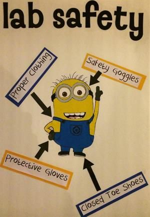 Lab Safety Poster, Science Lab Safety, Minion Classroom, Science Safety, Science Bulletin Boards, Science Room, Science Classroom Decorations, Chemistry Classroom, Biology Classroom