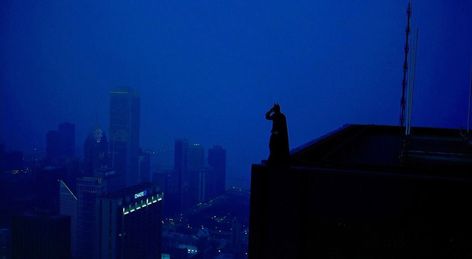 The Dark Knight 2008, Nolan Film, Shot Film, Movie Shots, Film Inspiration, Christopher Nolan, The Dark Knight, Cinematic Photography, Pretty Photos