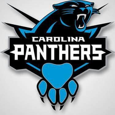 Panthers Georgia Football Team, Nba Logos, Nfl Logos, Carolina Panthers Logo, Panthers Logo, Panther Nation, Carolina Panthers Football, Panther Logo, Panthers Football