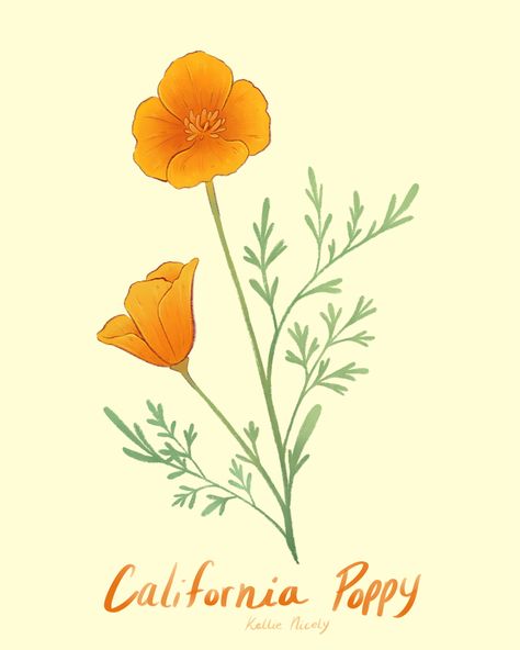 Featuring the California Poppy flower. Done in Procreate on the iPad Pro California Poppy Botanical Illustration, California Poppy Drawing, California Poppy Tattoo, California Poppy Flower, California Poppy Art, Strawberry Cereal, Poppy Tattoo, Photography Tattoo, Poppy Drawing