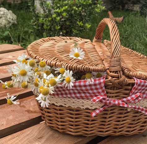 Aesthetic Picnic Basket, Picnic Basket With Flowers, Payment Aesthetic, Picnic Basket Aesthetic, Picnic Basket Ideas, Picnic Basket Decor, Cottagecore Picnic, Cerise Hood, Picnic Inspiration