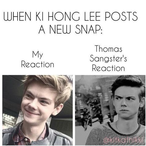 Newt X Reader, Maze Runner Thomas, Maze Runner The Scorch, Maze Runner Trilogy, Maze Runner Funny, Maze Runner Cast, Newt Maze Runner, The Scorch Trials, Maze Runner Series