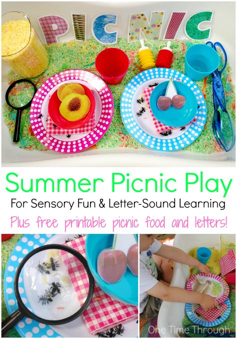 Planned a picnic but it's a rainy day? Why not try creating this Picnic Play Sensory and Letter-Sound Bin for your kiddos – for sensory fun and learning! Today’s post also contains links to FREE printable picnic food and summer themed letters! {One Time Through} Picnic Ideas For Kids, Ideas For Kids Activities, Summer Lesson Plans, Summer Lesson, Picnic Activities, Picnic Theme, Summer Preschool, Letter Sound, Picnic Ideas