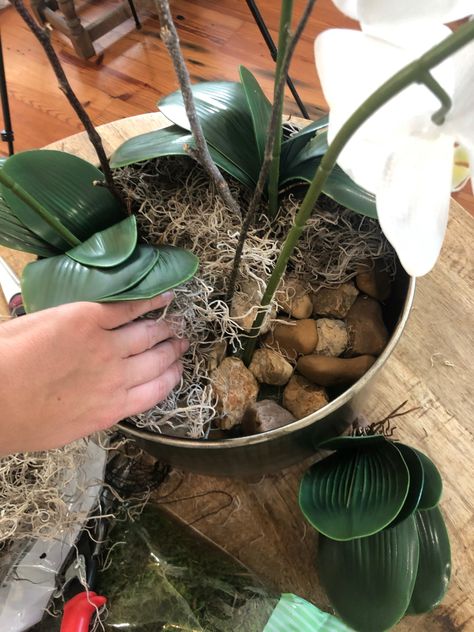 DIY Orchid Bowl Centerpiece – Bloom Co. Potted Orchid Centerpiece, Orchid Bowl, Succulents Arrangements, Diy Orchids, Orchid Flower Arrangements, Orchid Leaves, Orchid Centerpieces, Bowl Centerpiece, Faux Leaf