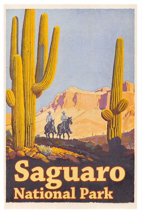 Arizona - Saguaro National Park | austen777 | Flickr Western Americana Aesthetic, National Park Vintage Poster, Cowboy Core, Collage Portfolio, Western Posters, Western Americana, Saguaro National Park, Poster Art Prints, Wood Postcard