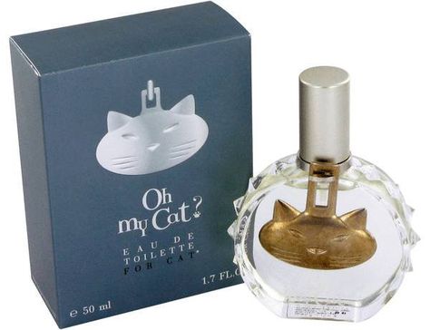 Cat Perfume, Perfume Genius, Popular Perfumes, Cat Essentials, Kitty Images, 3 Cats, Pet Pet, Olive Leaf, Perfume Brands