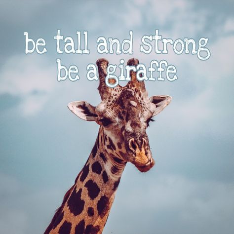 Giraffe House, Giraffe Quotes, Giraffe Facts, English Thoughts, Giraffe Pictures, Dog Modeling, Your Spirit Animal, A Giraffe, Cute Giraffe