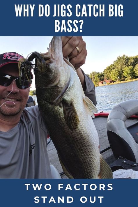 All year in any conditions, a bass jig can catch big fish. These two factors can help anglers make the most of their jig fishing. #bassfishing #bassfishingtips #largemouthbass #ilovefishing #fishing #smallmouthbass Bass Rigs Setup, Bass Beginner, Best Bass Fishing Lures, Largemouth Bass Fishing Tips, Fishing Freshwater, Bass Jumping Out Of Water, Ice Fishing Gear, Best Fishing Lures, Bass Bait