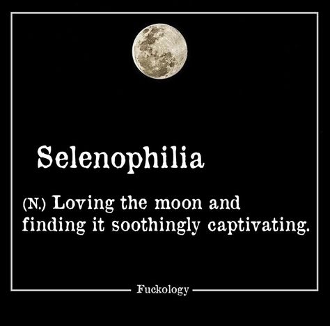 Selenophilia Insulting Quotes For Haters, Insulting Quotes, Lasso The Moon, Quotes About Haters, English Vocab, 26 Letters, Persuasive Writing, Queen Quotes, Quote Aesthetic