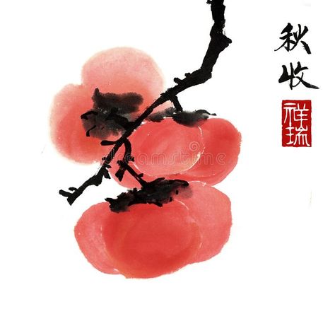 Persimmon Illustration, Persimmon Painting, Persimmon Art, Chinese Watercolor Painting, Restaurant Mural, Draw Nature, Japanese Block Print, Chinese Graphic, Chinese Illustration