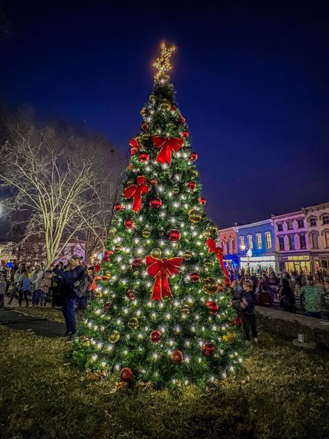 Reindeer Farm, Berea Kentucky, Kentucky Christmas, Christmas Towns, Southern Travel, Christmas Town, Travel List, Kentucky, Reindeer