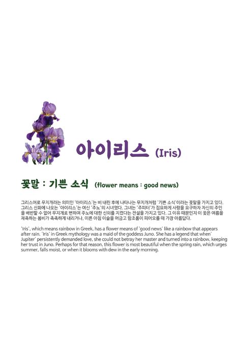 'Iris', which means rainbow in Greek, has a flower means of 'good news' like a rainbow that appears after rain. flower means : good news Iris Flower Meaning, Iris Quotes, Flowers Meanings, Iris Meaning, Buckwheat Flower, Greek Flowers, Flower Language, Good Meaning, Korean Alphabet