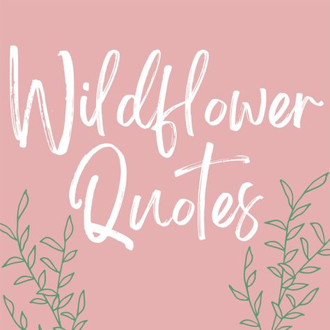 These wildflower quotes are pack full of beauty, inspiration, and captivating ideas of what it means to live like a wildflower and be free. Wild Flowers Meaning, Be Like A Flower Quote, Wildflower Sayings Words, Inspiring Flower Quotes, Desert Flower Quotes, See The Beauty Quotes, Wild Flower Poem, Wild Flowers Quotes Inspirational, Live Simply Bloom Wildly