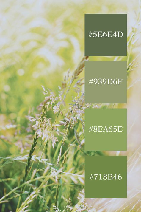 A soft and serene scene of grasses swaying in the light, showcasing a gentle green pastel color palette with muted shades of green and hints of light, creating a peaceful and natural ambiance. Pastel Color Palette Code, Color Palette Code, Color Scheme Generator, Code Color, Pastel Color Palette, Green Pastel, Pastel Colour Palette, Palette Ideas, Color Harmony