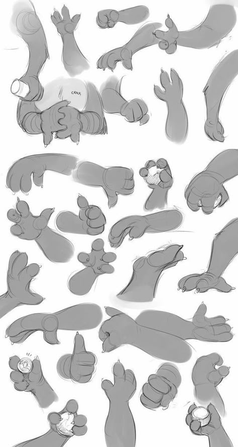 drawing reference, cats drawing reference, cat images, cat pictures, cat drawing tutorial, cat drawing ideas, cute cat, cat drawings simple, cat hand drawing, cat drawing realistic, cat eye drawing, cat drawing sketches, d Hand Studies, Hand Tutorial, Paw Drawing, Cat Drawing Tutorial, Hand Drawing Reference, Cartoon Sketches, 캐릭터 드로잉, Cat Eyes, Animal Sketches