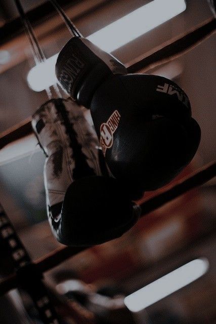 Boxer Aesthetic, Gloves Aesthetic, Boxing Girl, Endurance Workout, Boxing Gym, Bad Boy Aesthetic, Sports Aesthetic, Beautiful Disaster, Boxing Workout