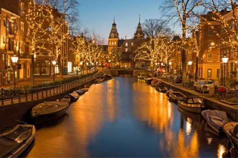 Amsterdam Christmas, Best Christmas Lights, Christmas In Europe, Visit Amsterdam, Colonial Christmas, Hotel Stay, Island Tour, River Cruises, Reykjavik