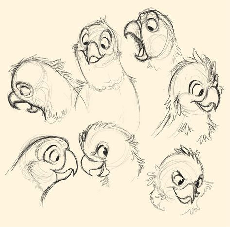 Cartoon Bird Drawing, Character Drawings, Bird Sketch, Bird Drawing, Cartoon Birds, Cartoon Sketches, Animal Sketches, Arte Animal, Bird Drawings