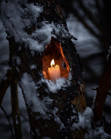 Yule Dark Aesthetic, Winter Vampire Aesthetic, Dark Forest Witch Aesthetic, Christmas Magic Aesthetic, Moody Winter Aesthetic, Moody Christmas Photography, Yuletide Aesthetic, Dark Woods Aesthetic, Dark Christmas Aesthetic