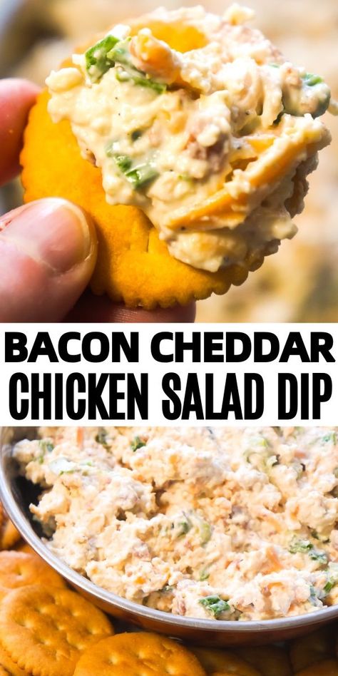 Chicken Salad And Crackers, Leftover Chicken Dip Recipes, Dip Recipes With Chicken, Chicken Salad For Crackers, Easy Spreads For Crackers, Chicken Bacon Ranch Dip Cold, Best Cold Party Dips, Chicken Spread For Crackers, Cold Dips For Crackers