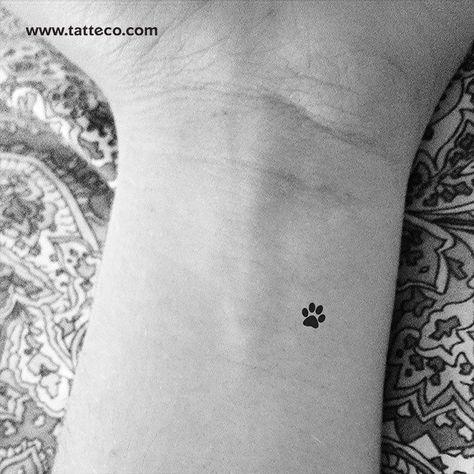 Small Paw Print Temporary Tattoo - Set of 3 Small Paw Print Tattoo, Paw Print Tattoos, One Word Tattoo, Tiny Paw Print, Anatomical Heart Tattoo, Pawprint Tattoo, Small Tats, Paw Tattoo, Tattoo Prices